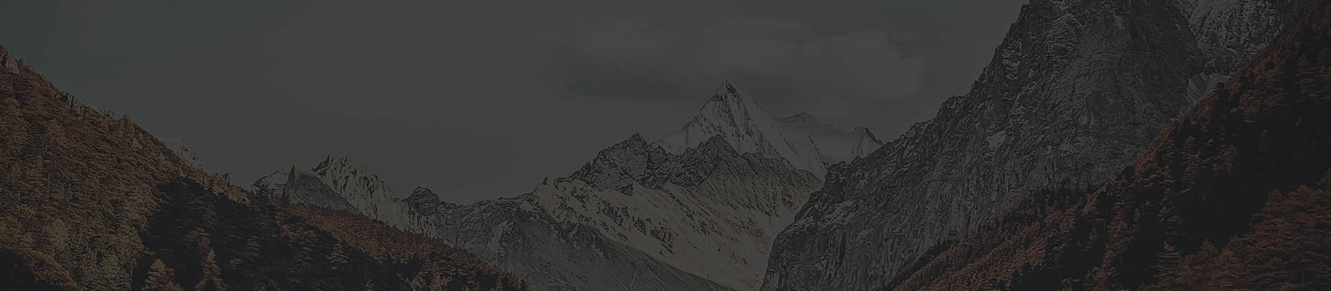 爱游戏ayx官方网页